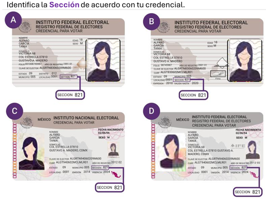 localizar secciones en la credencial de Elector