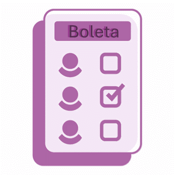 Conoce tu Boleta